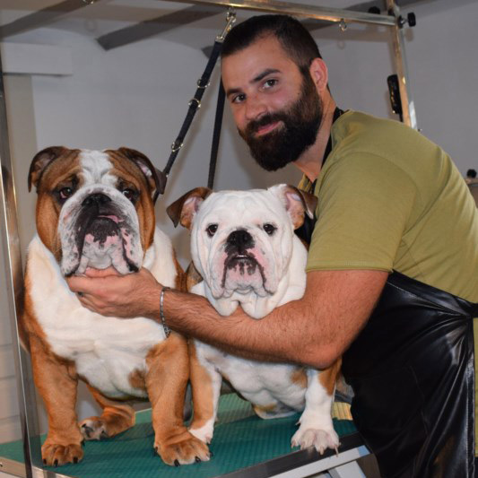 Marc-Aurèle, toiletteur comportementaliste